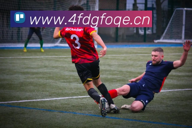 mksports足球赛程平台生态图