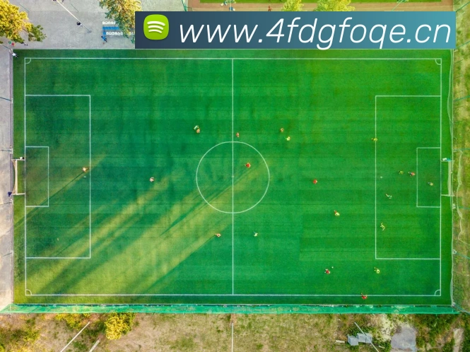 mksports足球赛程全站App